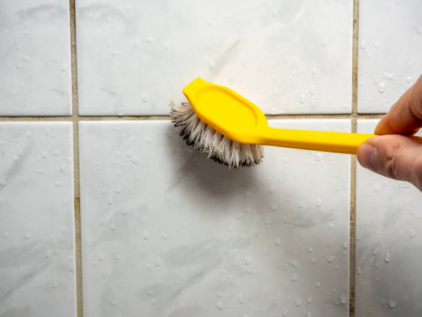 Best Mold Removal Company Near Me  in Channel Islands Beach, CA
